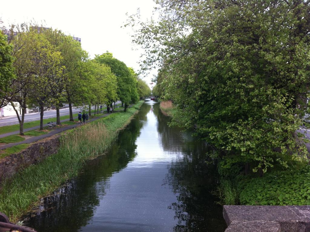 Leeson Apartments Dublin Bagian luar foto