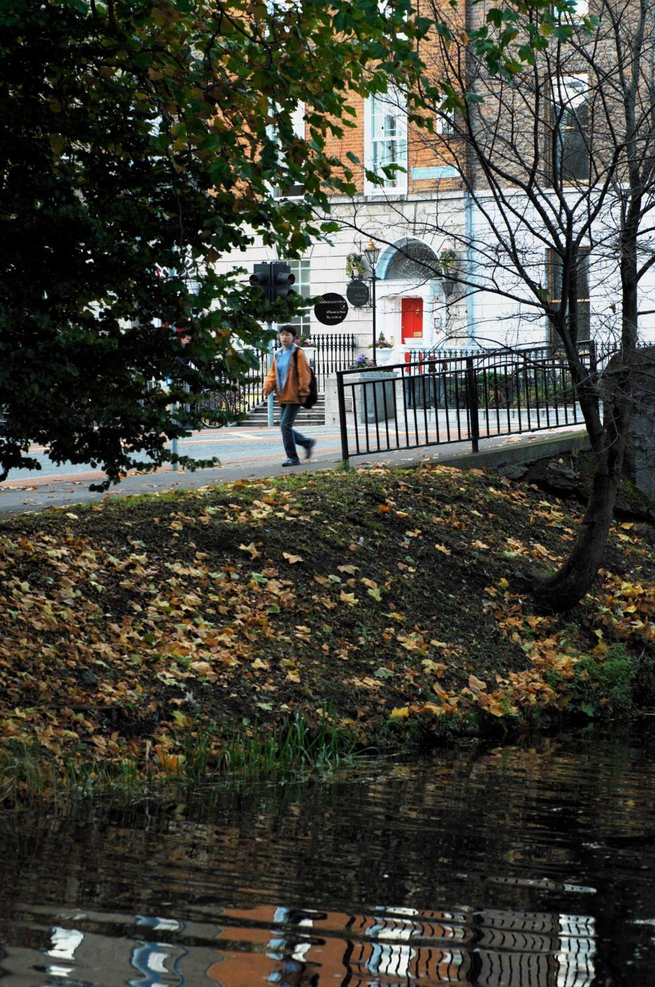Leeson Apartments Dublin Bagian luar foto